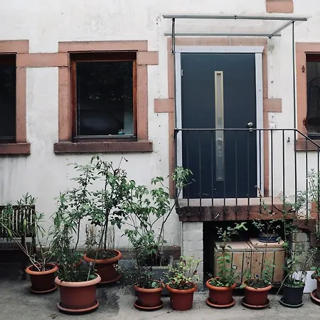 Apartment Casa Amalie Neustadt